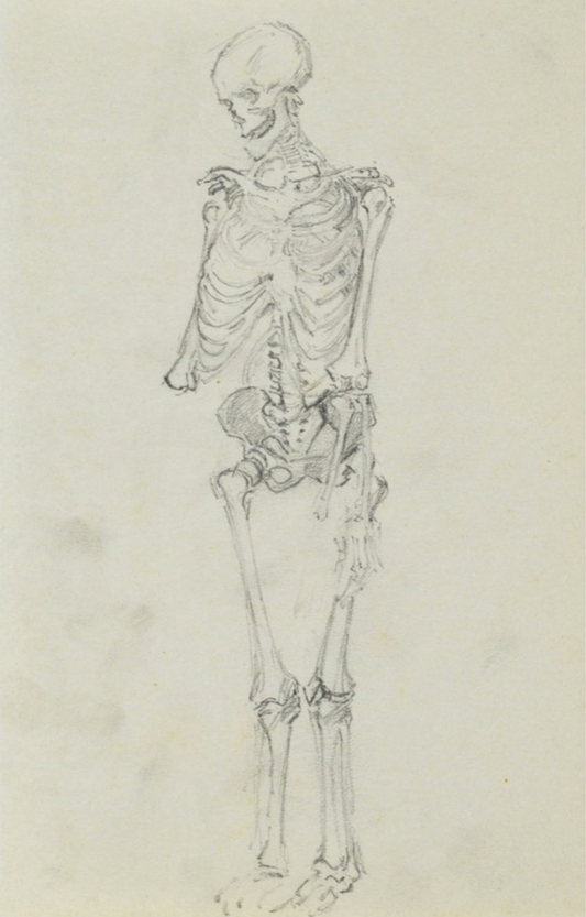 Józef Pieniążek, Szkic układu kostnego człowieka, 1920